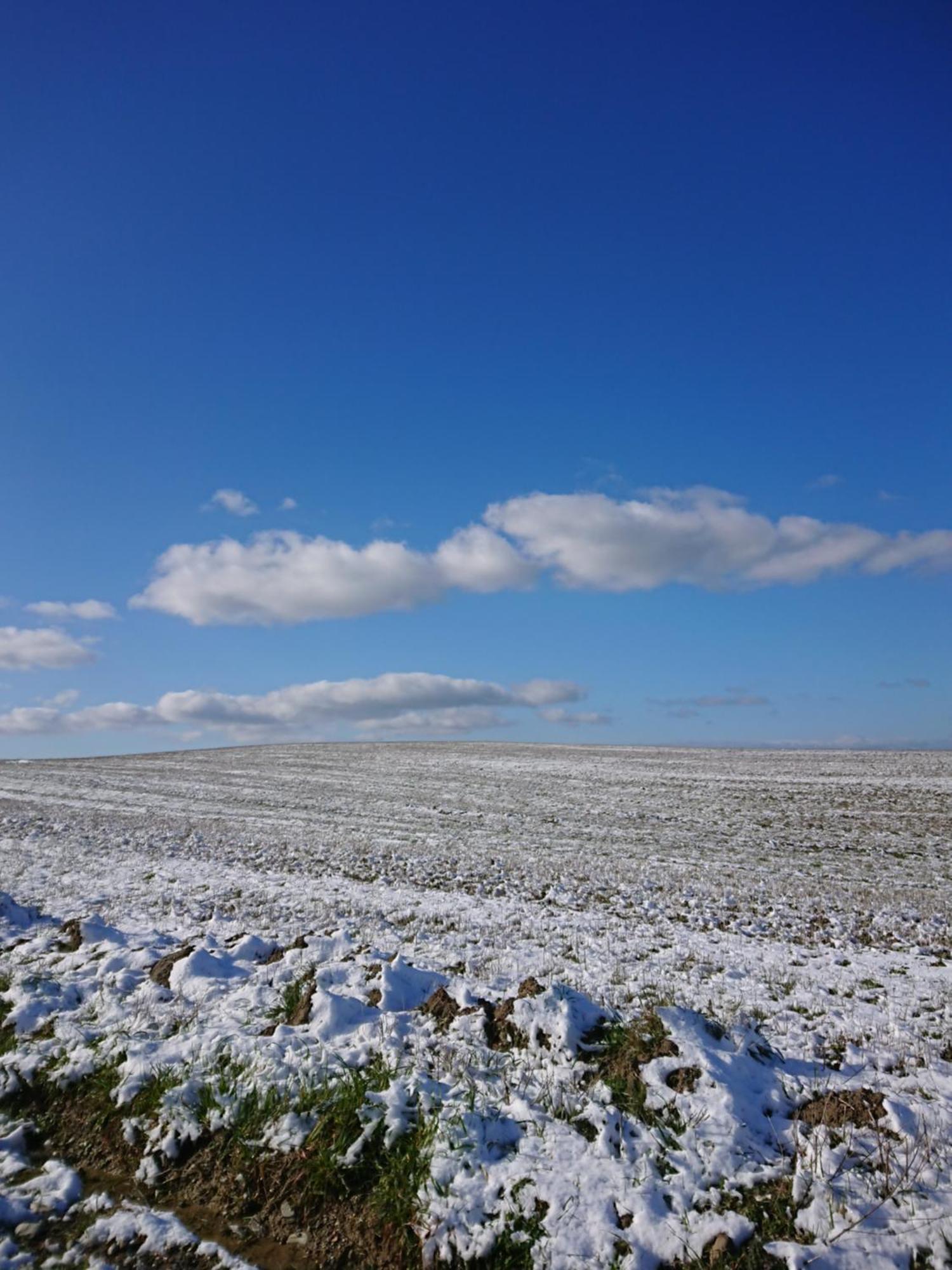 Affittacamere Alba Fiorita Кастільйоне-д'Орчія Екстер'єр фото